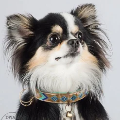 Dwam Halsband Indi Moon - Hondenhalsband