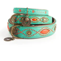 Dwam Halsband Janis Multi-Color - Hondenhalsband