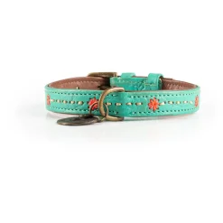 Dwam Halsband Janis Multi-Color - Hondenhalsband