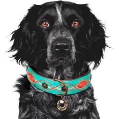 Dwam Halsband Janis Multi-Color - Hondenhalsband