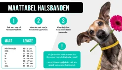 Dwam Halsband Joplin - Hondenhalsband