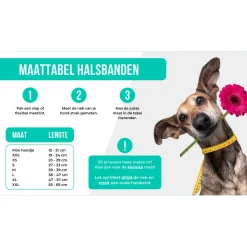 Dwam Halsband Joplin - Hondenhalsband