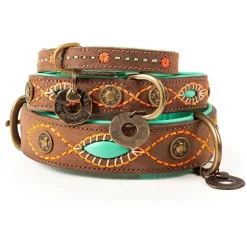 Dwam Halsband Joplin - Hondenhalsband