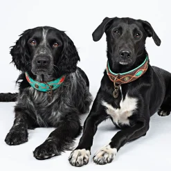 Dwam Halsband Joplin - Hondenhalsband