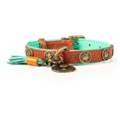 Dwam Halsband Urban - Hondenhalsband