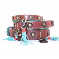 Dwam Halsband Urban - Hondenhalsband