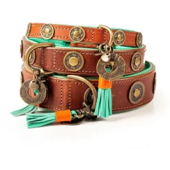 Dwam Halsband Urban - Hondenhalsband