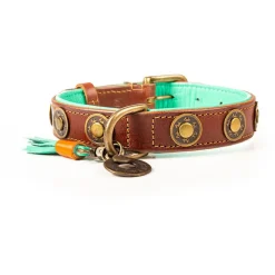 Dwam Halsband Urban - Hondenhalsband