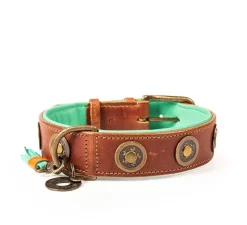 Dwam Halsband Urban - Hondenhalsband