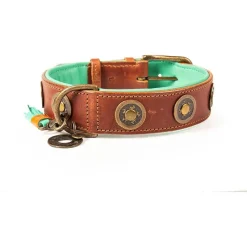 Dwam Halsband Urban - Hondenhalsband