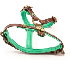 Dwam Hondentuig Rock Leer Bruin&Turquoise - Hondenharnas