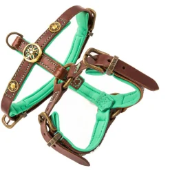 Dwam Hondentuig Rock Leer Bruin&Turquoise - Hondenharnas