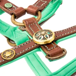 Dwam Hondentuig Rock Leer Bruin&Turquoise - Hondenharnas