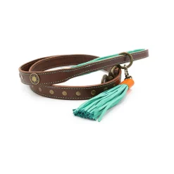 Dwam Ledere Looplijn Joe Bruin&Turquoise - Hondenriem