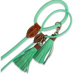 Dwam Looplijn Jade Touw Turquoise - Hondenriem