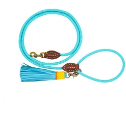 Dwam Looplijn Turquoise - Hondenriem