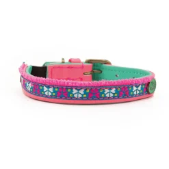 Dwam Missy Kattenhalsband - Kattenhalsband - 22-27x1 cm Multi-Color