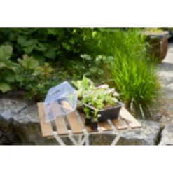 Easyday Kweekbakje - Kweekbenodigdheden - 39x19x19 cm Zwart Transparant