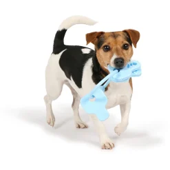 Ebi Petit Kauwspeeltje Cleo 8x6.5 cm - Hondenspeelgoed