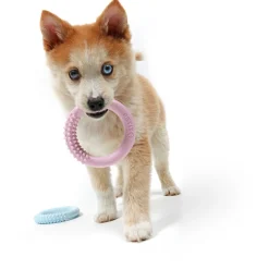 Ebi Petit Kauwspeeltje Lola Ø10 cm - Hondenspeelgoed