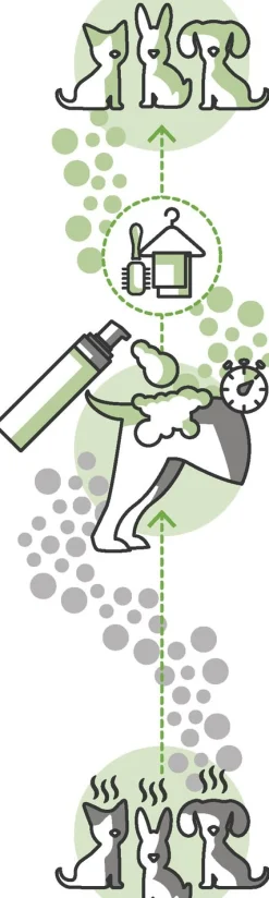 Ecodor Ecofur Navulverpakking - Hondenzindelijkstraining - 1 l