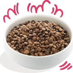 Edgard&Cooper Bio Organic Beef Adult Rund&Kip&Rode Biet - Hondenvoer