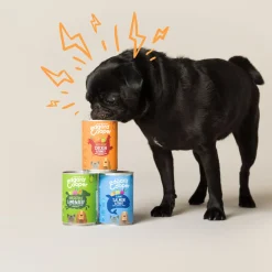 Edgard&Cooper Blik Chicken Turkey Adult - Hondenvoer - Kip Kalkoen Aardbei 400 g Graanvrij