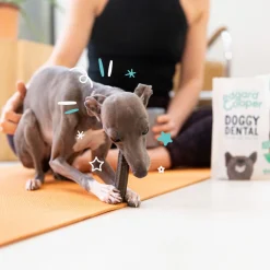 Edgard&Cooper Doggy Dental Appel - Hondensnacks