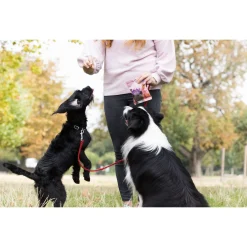 Edgard&Cooper Duck & Chicken Bites - Hondensnacks - Eend Kip Pompoen 50 g