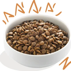 Edgard&Cooper Free-Run Chicken Adult Kip&Mango&Bessen - Hondenvoer