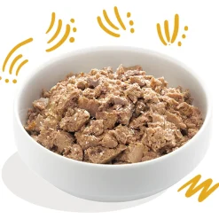 Edgard&Cooper Kuipje Bio Turkey Adult - Hondenvoer - Kalkoen Kokos Chiazaad 100 g Biologisch