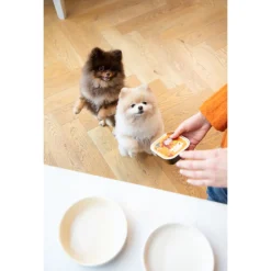 Edgard&Cooper Kuipje Chicken Turkey Adult - Hondenvoer - Kip Kalkoen Appel 300 g Graanvrij