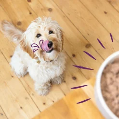 Edgard&Cooper Kuipjes Multipack Adult Chicken Game Lamb - Hondenvoer - Kip Wild Lam 6x100 g