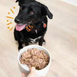 Edgard&Cooper Kuipjes Multipack Adult Chicken Lamb - Hondenvoer - Kip Lam 4x300 g