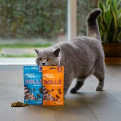 Edgard&Cooper Rolls - Kattensnack - Zalm 45 g