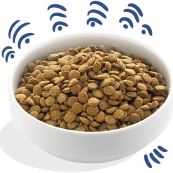 Edgard&Cooper Yummy Norwegian Salmon Adult Zalm&Rode Biet&Appel - Hondenvoer