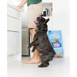 Edgard&Cooper Yummy Norwegian Salmon Adult Zalm&Rode Biet&Appel - Hondenvoer