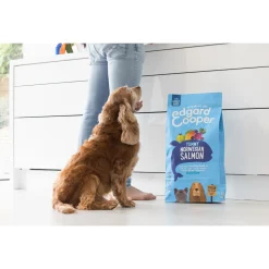 Edgard&Cooper Yummy Norwegian Salmon Adult Zalm&Rode Biet&Appel - Hondenvoer