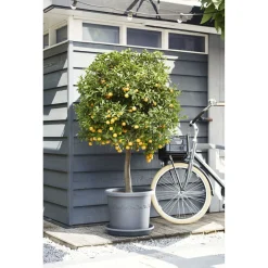 Elho Bloempot Algarve - Buitenpot - Ø35x29 cm Grijs