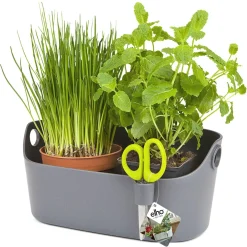 Elho Brussels Kruiden Station - Kweekbenodigdheden - 30x13x18 cm Antraciet