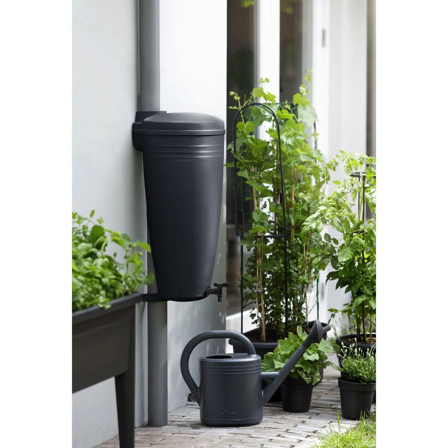 Elho Green Basics Raincatcher Living Black - Regenwatertonnen - 33.5x38x73.5 cm 35 l Zwart