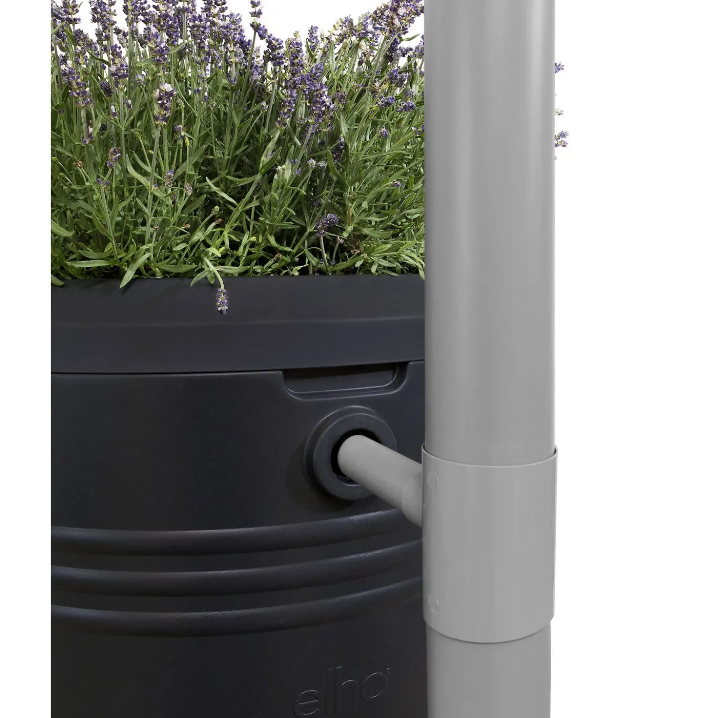 Elho Green Basics Regenton Living Black Met Plantenbak - Regenwatertonnen - Ø61x110 cm 200 l Zwart