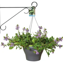 Elho Muurhaak Elegance - Plantenbakhaak - 30x3x26 cm Antraciet