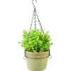 Esschert's Garden Aged Terra Cotta Hangpot - Bloempotten - Ø16.9x12x43.5 cm Rood
