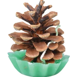 Esschert's Garden Dennenappel Aanmaakblokjes - Terrasverwarming - 6.3x6.3x7.9 cm 10 stuks