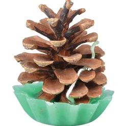 Esschert's Garden Dennenappel Aanmaakblokjes - Terrasverwarming - 6.3x6.3x7.9 cm 10 stuks