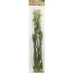 Esve Pet Bouquet Knaagveld - Knaagdiersnack - 100 g