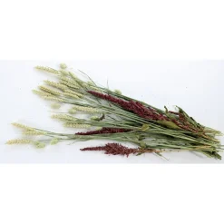 Esve Pet Bouquet Knabbelstruik - Knaagdiersnack - 100 g