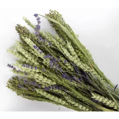 Esve Pet Bouquet Koker Aves Minor - Vogelsnack - 200 g