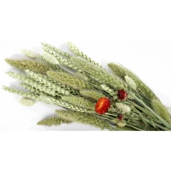 Esve Pet Bouquet Koker Habitat - Knaagdiersnack - 200 g